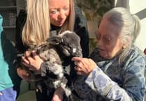 Horndean care home to hold weekend Harvest Festival