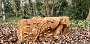 Hidden art: Discover wooden sculptures along Catherington Lith walk