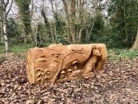 Hidden art: Discover wooden sculptures along Catherington Lith walk