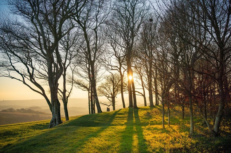 Chanctonbury Ring in the South Downs National Park, Tim Kahane.