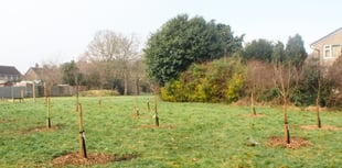 Inquest launched as identity of body found on Liss green confirmed