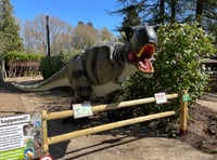 WATCH: Dinosaurs invade Birdworld this Easter