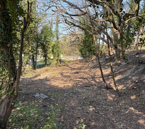 Love Lane Space for Nature: Progress update 