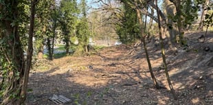 Love Lane Space for Nature: Progress update 