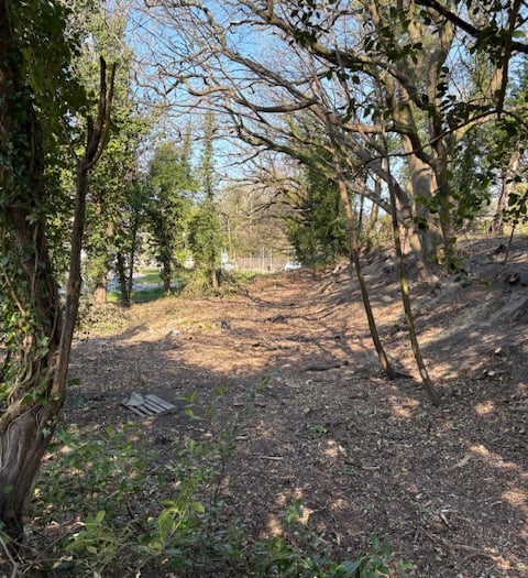 Love Lane Space for Nature: Progress update 