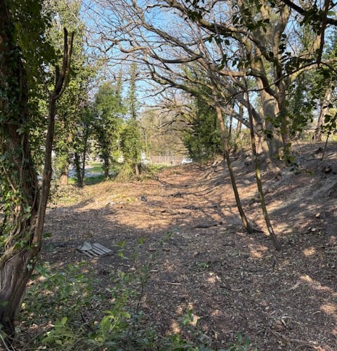 Love Lane space for nature project Petersfield