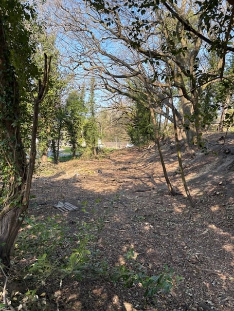 Love Lane space for nature project Petersfield