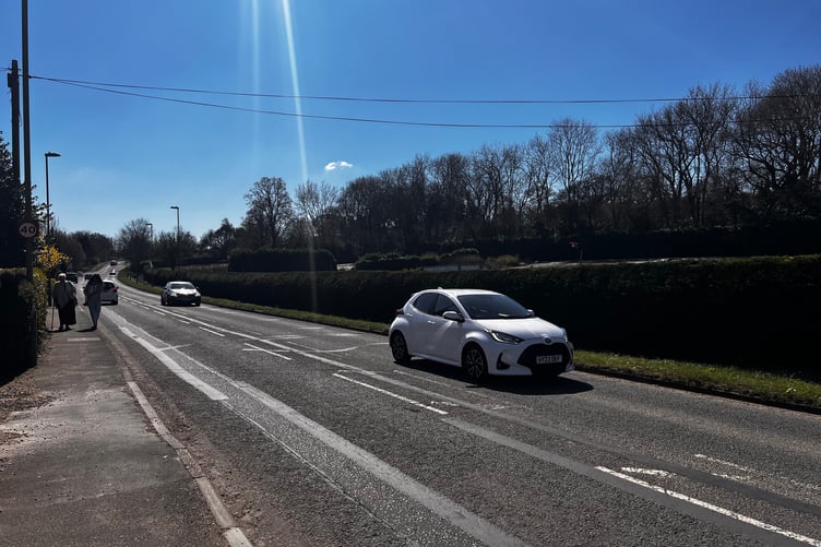 Havant Road - the proposed new Aldi will sit behind the hedge on Keydell Nurseries land