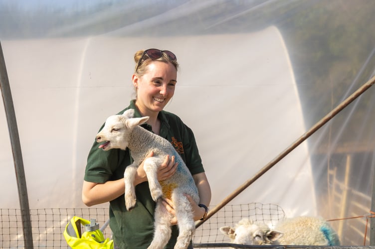 Westlands Farm veterinary nurse