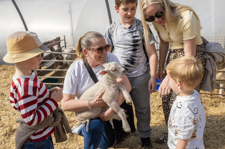 Westlands Lambing Event Family