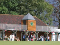 VIDEO: Crowdfunder to revitalise Hambledon's historic cricket ground