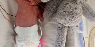 Miracle recovery: baby Benji now bigger than his toy bunny