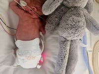 Miracle recovery: baby Benji now bigger than his toy bunny