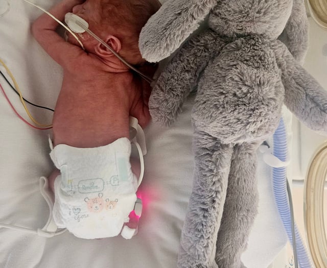 Miracle recovery: baby Benji now bigger than his toy bunny