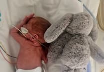 Miracle recovery: baby Benji now bigger than his toy bunny