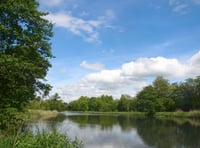 Explore Warnford Park and raise money for charity