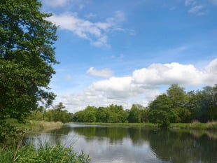 Explore Warnford Park and raise money for charity