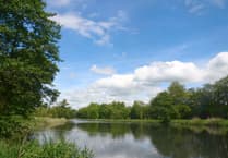 Explore Warnford Park for charity