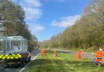 East Hampshire crews collect over 800 bags of litter from A31