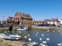 Sailing club plans name change, new activities
