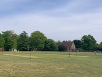 Cricket returns to Upper Hale