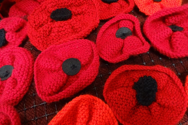 Poppy Knitting Appeal Petersfield
