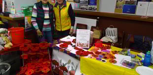 Close-knit community: Taking the Petersfield Poppy project outdoors