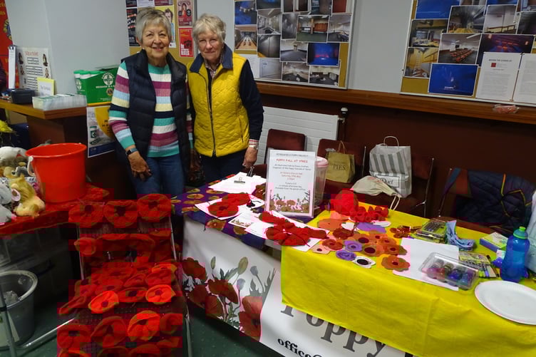 Knitted Poppy Appeal Petersfield