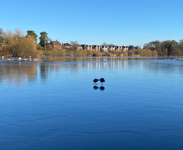 Steam trains and sailing - what could have been at Heath Pond