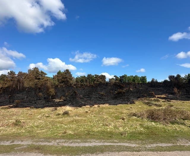 Campfire blamed for devastating wildfire on heathland