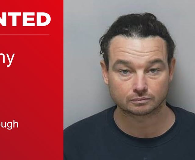 Police hunt Johnny Cash in connection with Alton cash burglary