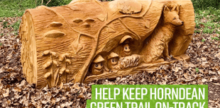 Make history as workshops will shape Horndean Heritage Network