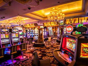 Have a say on East Hampshire District Council gambling policy