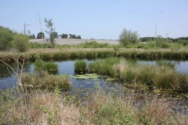 Blackmoor Estate pond