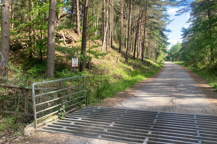 Longmoor Ranges Track PIC2