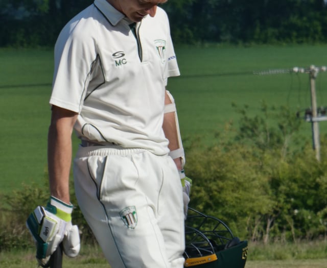 Waverley fall to emphatic defeat at Dummer
