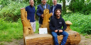 Tree sculpture leaves his mark on nature reserve trail