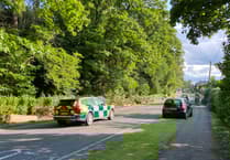 Greatham divided following tree fall on Petersfield Road