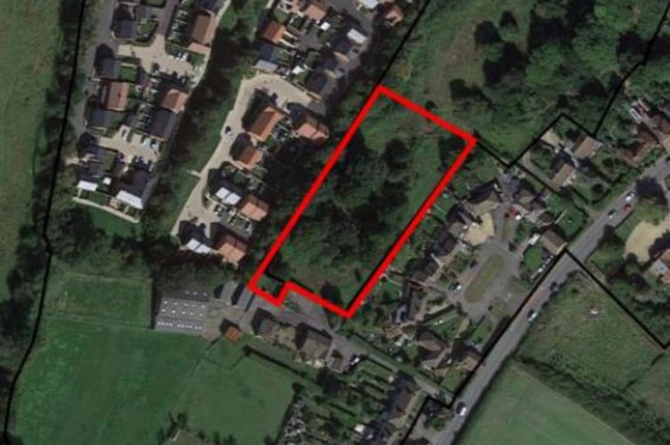 Thakeham Mitigation Plot Causeway Otter Walk