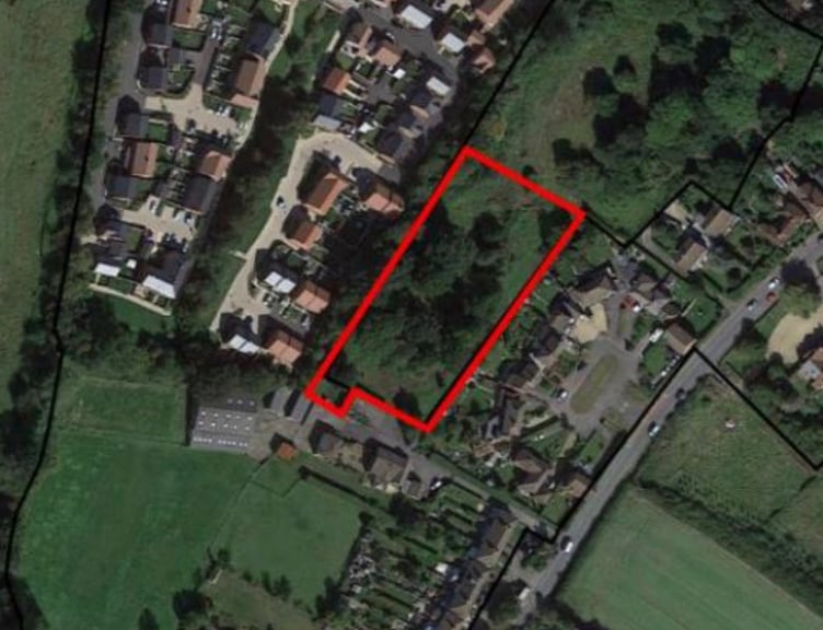 Thakeham Mitigation Plot Causeway Otter Walk