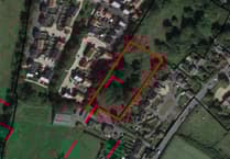 Lost the plot: Petersfield TC rejects offer to manage 'useless' plot off Causeway