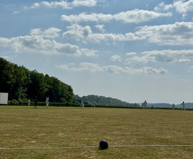 Resilient batting as Petersfield's 3rd XI make Hambledon's 4th XI toil