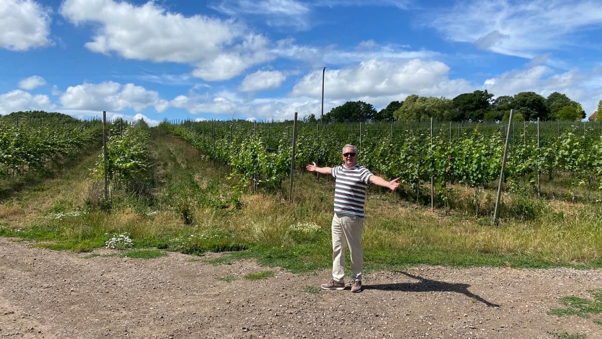 WATCH: Is everything rosé in our local wine industry?