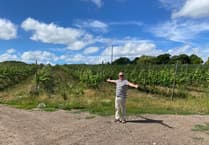 Is everything rosé in Hampshire and Surrey's wine industries?