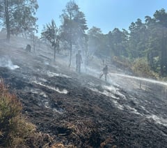 Common may take 'years to recover' from devastating wildfire