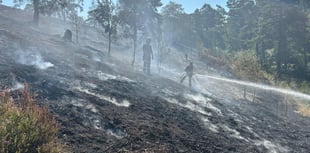 Common may take 'years to recover' from devastating wildfire