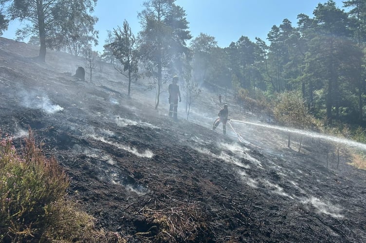 Hankley Common Fire Thursley