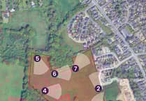 Feedback wanted as Taylor Wimpey eyes Lovedean field for 120 homes