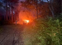 Car set alight in woodland near Bordon amid severe fire risk
