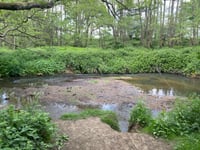Firms to splash £350k on improvements at nature reserve